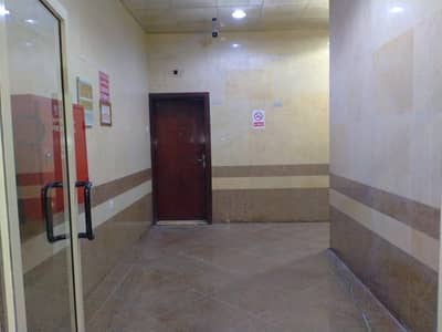 Full building for rent for staff accommodation in al jurf 2 Ajman Full building for rent for staff accommodation in al jurf 2 Ajman