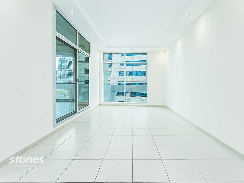 Large Apartment With Skyline View|Newly Renovated