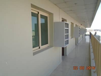 DIRECT FROM OWNER G+4 Freehold camp 176 rooms DIRECT FROM OWNER G+4 Freehold camp 176 rooms
