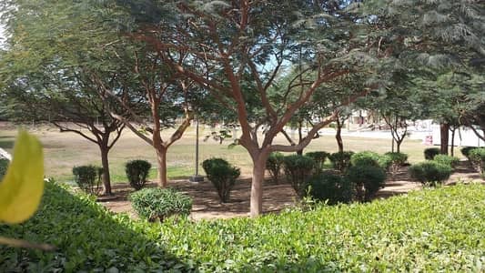 On The Park | Single Row | Multiple Car Parks On The Park | Single Row | Multiple Car Parks