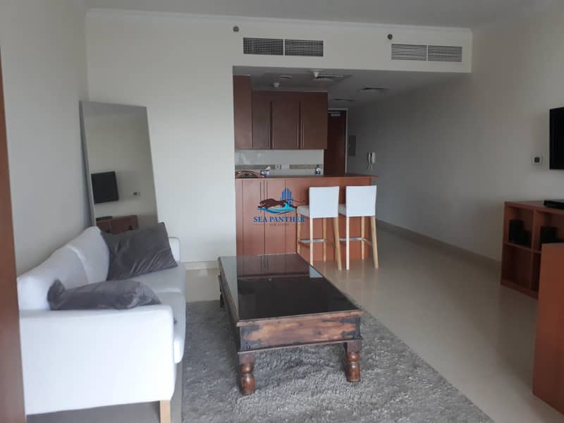 Spacious Furnished  Studio  Near Metro