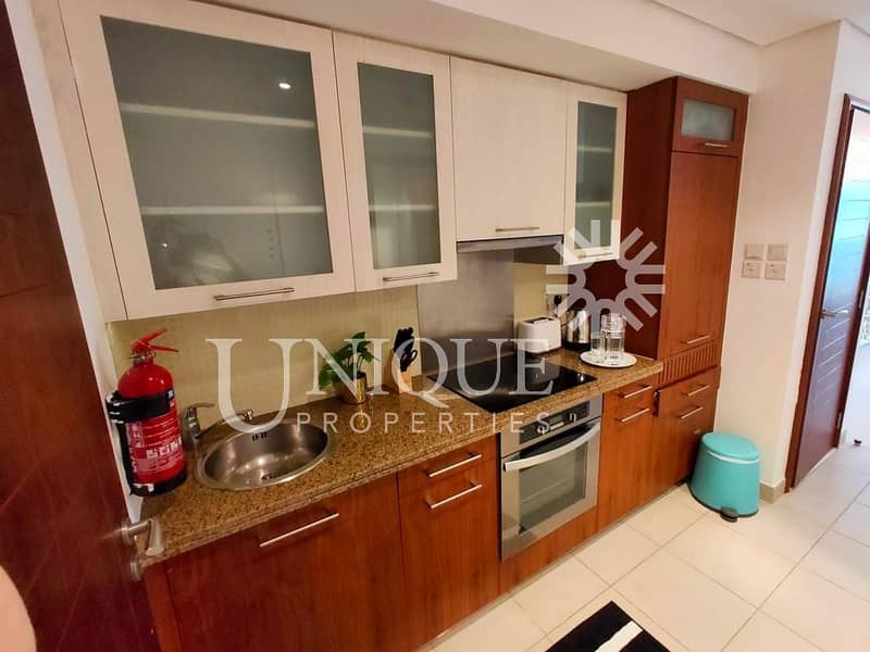 4 Fully Furnished Studio | Partial Fountain view
