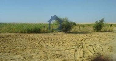 6 For Sale In Shakhbout City Reidential Land