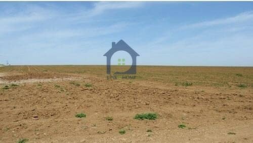 8 For Sale In Shakhbout City Reidential Land