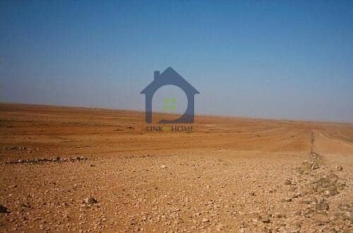 9 For Sale In Shakhbout City Reidential Land