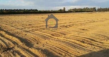 10 For Sale In Shakhbout City Reidential Land